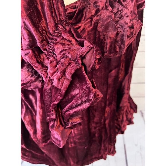 NWT Bila Velvet Blouse Prairie whimsigoth Ruffle Shirt Velour Boho Medium India - Picture 6 of 9